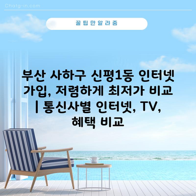 부산 사하구 신평1동 인터넷 가입, 저렴하게 최저가 비교 | 통신사별 인터넷, TV, 혜택 비교