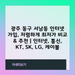 광주 동구 서남동 인터넷 가입, 저렴하게 최저가 비교 & 추천 | 인터넷, 통신, KT, SK, LG, 케이블