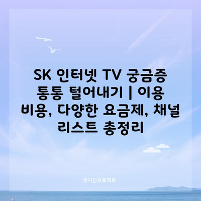 SK 인터넷 TV 궁금증 통통 털어내기 | 이용 비용, 다양한 요금제, 채널 리스트 총정리