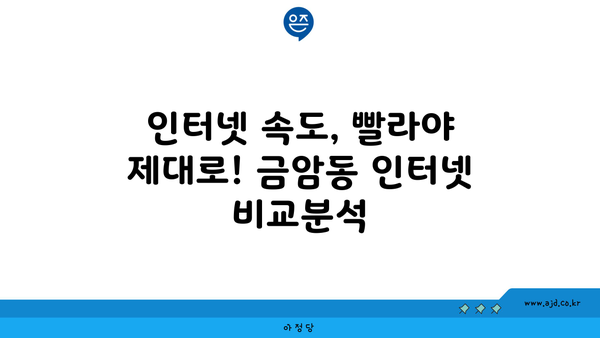 충청남도 계룡시 금암동 인터넷 가입, 저렴하고 빠른 곳 찾기 | 인터넷 비교, 통신사, 설치비, 속도