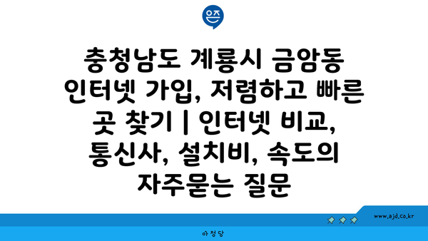 충청남도 계룡시 금암동 인터넷 가입, 저렴하고 빠른 곳 찾기 | 인터넷 비교, 통신사, 설치비, 속도