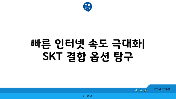 SKT 인터넷 설치 및 결합 방법 가이드 | 전문적 설치와 결합 솔루션