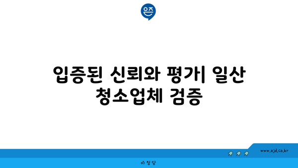 일산 입주 청소 내돈내산 추천 후기 핵심 7가지 | 청소 서비스, 신뢰 평가, 지역 리뷰