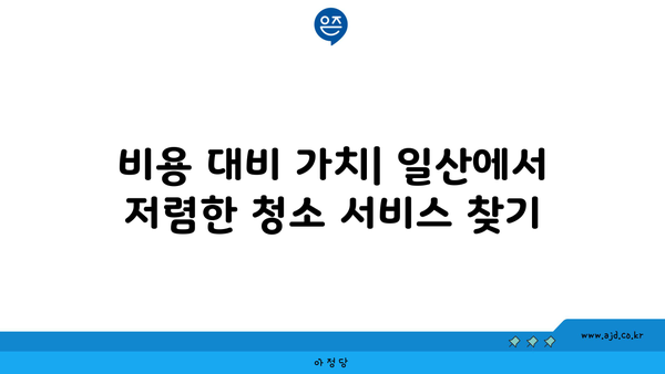 일산 입주 청소 내돈내산 추천 후기 핵심 7가지 | 청소 서비스, 신뢰 평가, 지역 리뷰