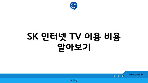 SK 인터넷 TV 궁금증 통통 털어내기 | 이용 비용, 다양한 요금제, 채널 리스트 총정리