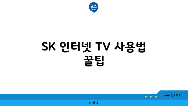 SK 인터넷 TV 궁금증 통통 털어내기 | 이용 비용, 다양한 요금제, 채널 리스트 총정리