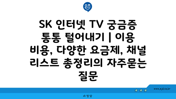 SK 인터넷 TV 궁금증 통통 털어내기 | 이용 비용, 다양한 요금제, 채널 리스트 총정리