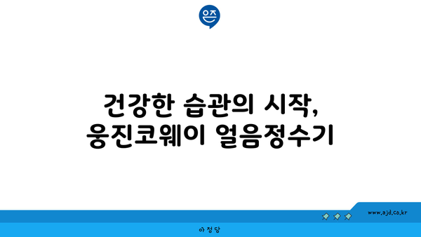 웅진코웨이 얼음정수기 렌탈 | 놓칠 수 없는 놀라운 이야기