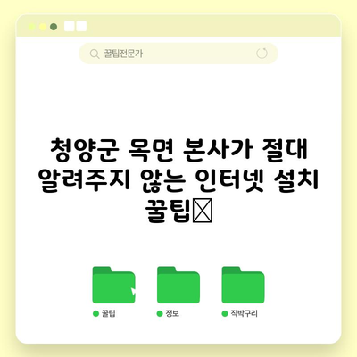 청양군 목면 본사가 절대 알려주지 않는 인터넷 설치 꿀팁📌