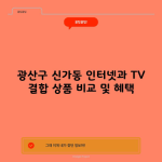 광산구 신가동 인터넷과 TV 결합 상품 비교 및 혜택