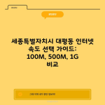 세종특별자치시 대평동 인터넷 속도 선택 가이드: 100M, 500M, 1G 비교