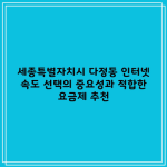 인터넷 속도 100메가 500메가 1메가 차이 총정리 적합한 요금제 추천