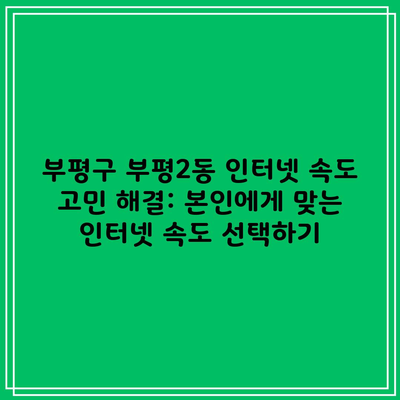 부평구 부평2동 인터넷 속도 고민 해결: 본인에게 맞는 인터넷 속도 선택하기