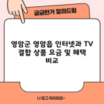 영암군 영암읍 인터넷과 TV 결합 상품 요금 및 혜택 비교