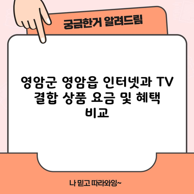 영암군 영암읍 인터넷과 TV 결합 상품 요금 및 혜택 비교