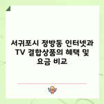 서귀포시 정방동 인터넷과 TV 결합상품의 혜택 및 요금 비교