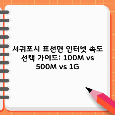 서귀포시 표선면 인터넷 속도 선택 가이드: 100M vs 500M vs 1G