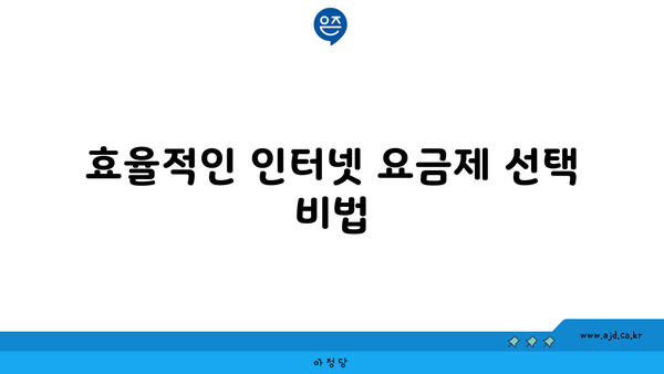 효율적인 인터넷 요금제 선택 비법