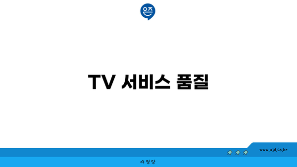 TV 서비스 품질