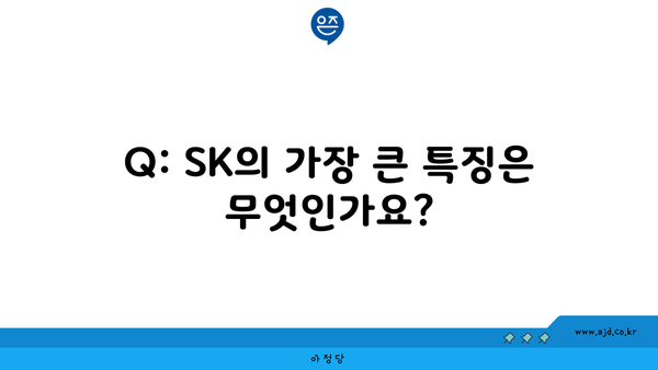 Q: SK의 가장 큰 특징은 무엇인가요?