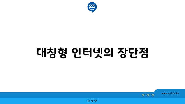 대칭형 인터넷의 장단점