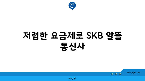 저렴한 요금제로 SKB 알뜰 통신사