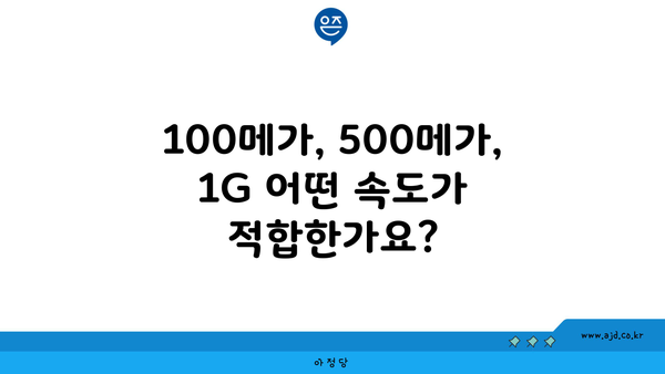 100메가, 500메가, 1G 어떤 속도가 적합한가요?