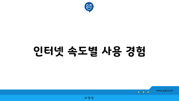 인터넷 속도별 사용 경험