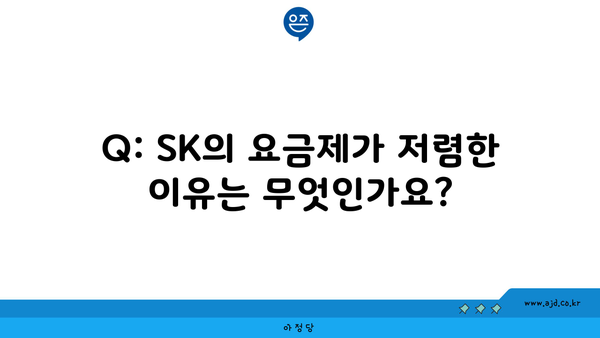 Q: SK의 요금제가 저렴한 이유는 무엇인가요?