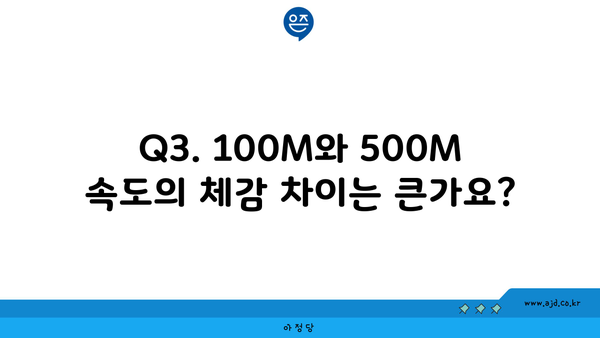 Q3. 100M와 500M 속도의 체감 차이는 큰가요?