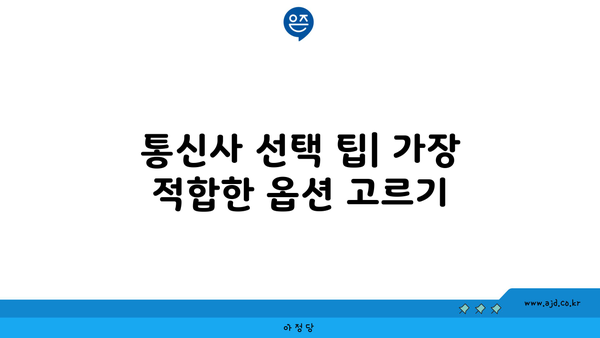 통신사 선택 팁| 가장 적합한 옵션 고르기