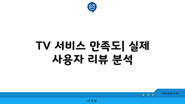 TV 서비스 만족도| 실제 사용자 리뷰 분석