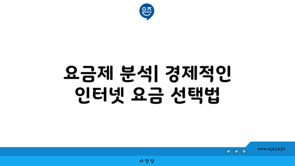 요금제 분석| 경제적인 인터넷 요금 선택법