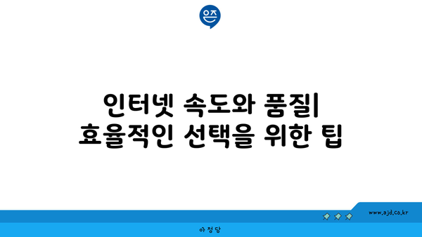 인터넷 속도와 품질| 효율적인 선택을 위한 팁