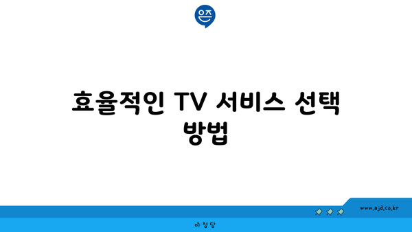 효율적인 TV 서비스 선택 방법