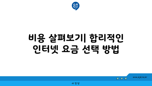 비용 살펴보기| 합리적인 인터넷 요금 선택 방법