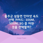 울주군 삼동면 인터넷 속도 선택 가이드: 100M, 500M, 1G 중 어떤 것을 선택할까?