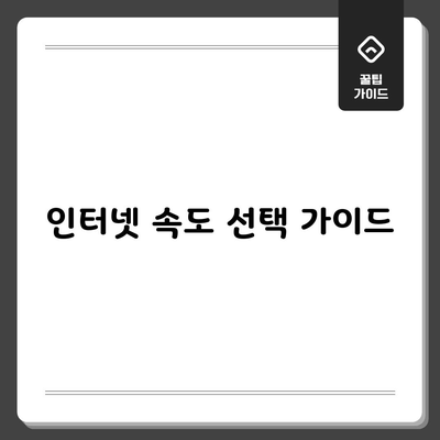 KT SK LG 인터넷 속도 측정, 필요 이상의 요금을 지불하고 계셨어요.