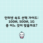 인터넷 속도 선택 가이드: 100M, 500M, 1G 중 어느 것이 맞을까요?