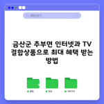 금산군 추부면 인터넷과 TV 결합상품으로 최대 혜택 받는 방법