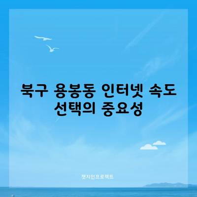 북구 용봉동 인터넷 속도 선택의 중요성