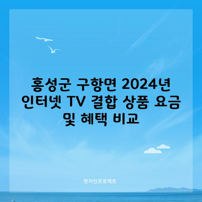 홍성군 구항면 2024년 인터넷 TV 결합 상품 요금 및 혜택 비교