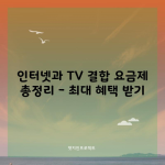 인터넷과 TV 결합 요금제 총정리 – 최대 혜택 받기