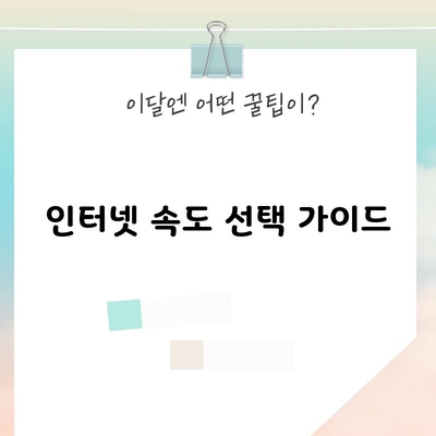 인터넷 속도 선택 가이드