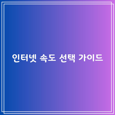 인터넷 속도 선택 가이드