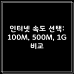 인터넷 속도 선택: 100M, 500M, 1G 비교