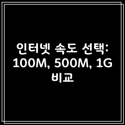 인터넷 속도 선택: 100M, 500M, 1G 비교