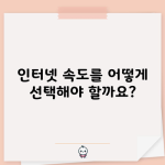 인터넷 속도를 어떻게 선택해야 할까요?