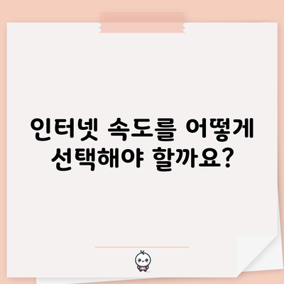 인터넷 속도를 어떻게 선택해야 할까요?