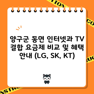 양구군 동면 인터넷과 TV 결합 요금제 비교 및 혜택 안내 (LG, SK, KT)